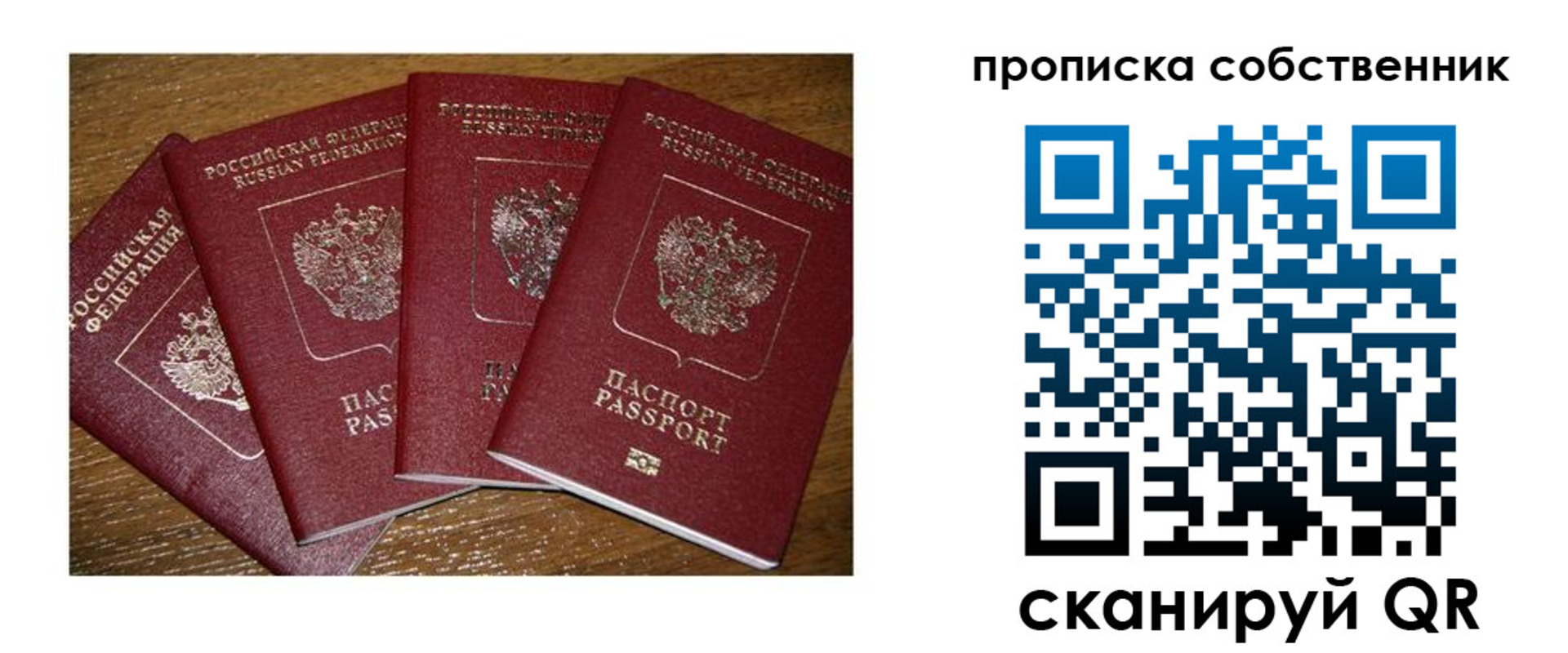 прописка поиск в Димитровграде